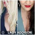 Lady Addison - Der Kandidat [Digital]